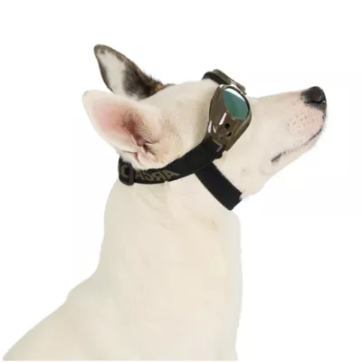 Arcadia Trail® UV Goggles - Image 2