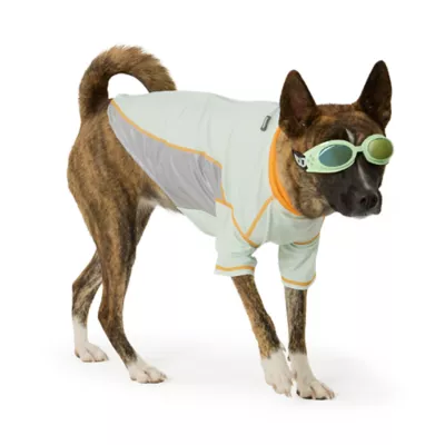 Arcadia Trail® UV Goggles - Image 1