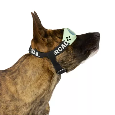 Arcadia Trail® UV Goggles - Image 2