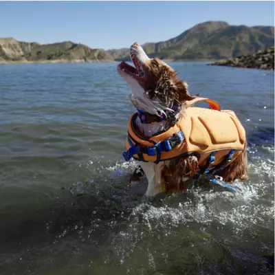 Arcadia Trail® UV Goggles - Image 6