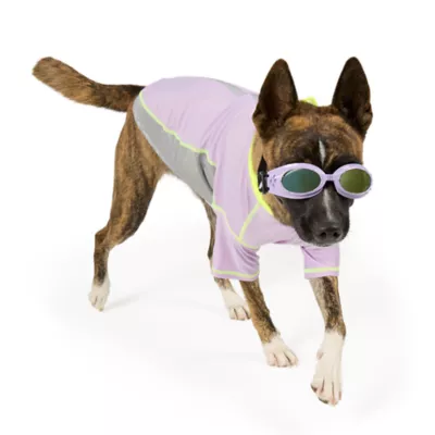 Arcadia Trail® UV Goggles - Image 1