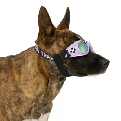 Arcadia Trail® UV Goggles - Image 2