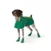 Top Paw® Rain Booties image thumbnail 1
