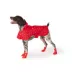Top Paw® Rain Booties image thumbnail 1