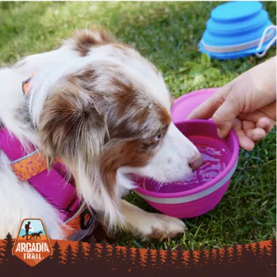 Arcadia Trail® Collapsible Bowl - Image 5