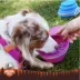 Arcadia Trail® Collapsible Bowl image thumbnail 5