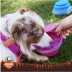 Arcadia Trail® Collapsible Bowl image thumbnail 5