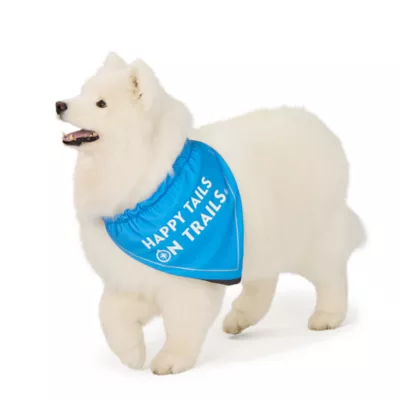 Arcadia Trail® Cooling Bandana - Image 1