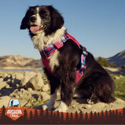 Arcadia Trail® Waterproof Windbreaker - Image 6