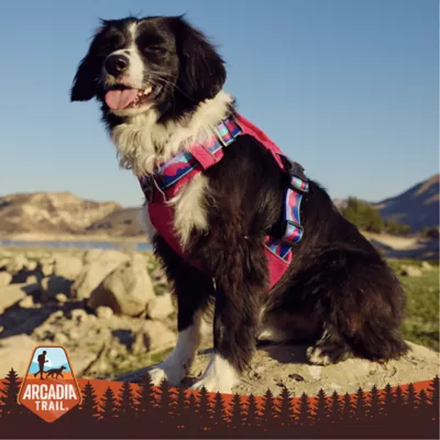 Arcadia Trail® Waterproof Windbreaker - Image 6