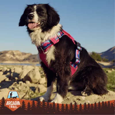 Arcadia Trail® Waterproof Windbreaker - Image 6