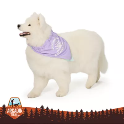 Arcadia Trail® Cooling Bandana - Image 1