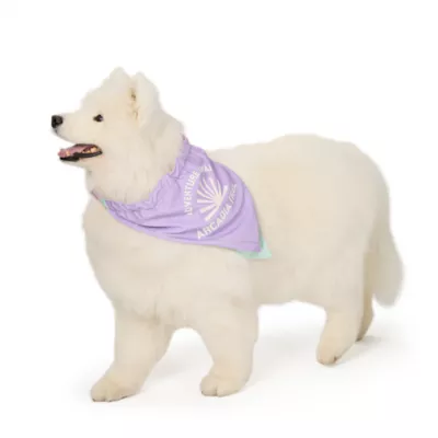 Arcadia Trail® Cooling Bandana - Image 1