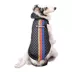 NASCAR Dog Hoodie image thumbnail 3