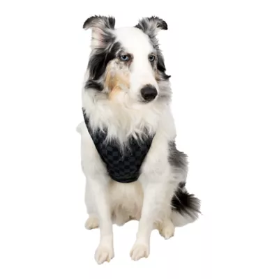 NASCAR Dog Hoodie - Image 4