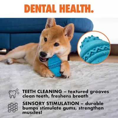 ARLEE Max Fusion with Nike Grind, Cannon Dog Toy - Image 5