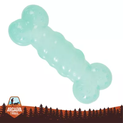 Arcadia Trail® Glow-in-the-Dark Dog Bone Toy - Image 1