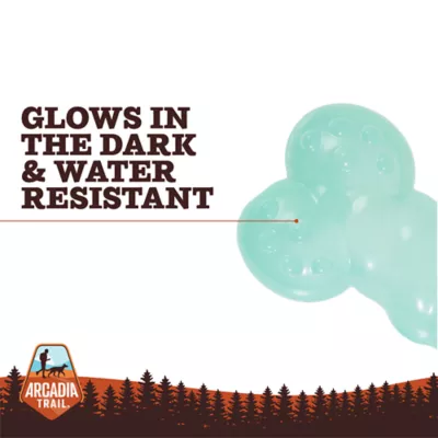 Arcadia Trail® Glow-in-the-Dark Dog Bone Toy - Image 2