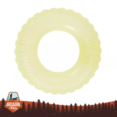 Arcadia Trail® Glow-in-the-Dark Ring Dog Toy - Image 1