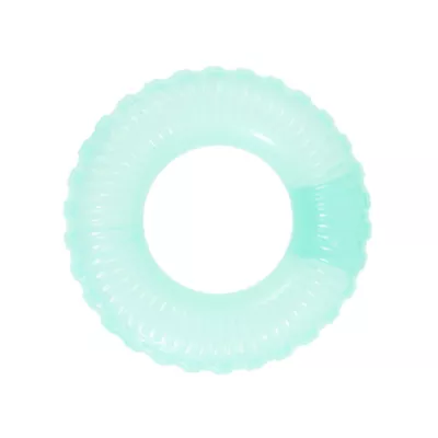 Arcadia Trail® Glow-in-the-Dark Ring Dog Toy - Image 1