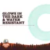 Arcadia Trail® Glow-in-the-Dark Ring Dog Toy image thumbnail 2