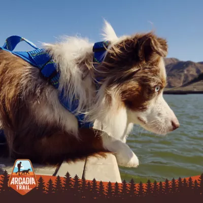 Arcadia Trail® Glow-in-the-Dark Football Dog Toy - Image 5