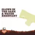Arcadia Trail® Glow-in-the-Dark Stick Dog Toy image thumbnail 2