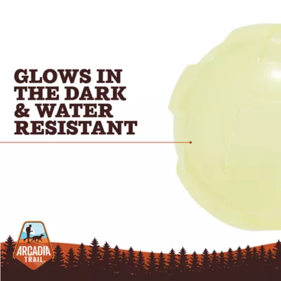 Arcadia Trail® Glow-in-the-Dark Dog Toy - Image 2