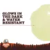 Arcadia Trail® Glow-in-the-Dark Dog Toy image thumbnail 2