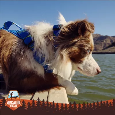 Arcadia Trail® Glow-in-the-Dark Dog Toy - Image 5