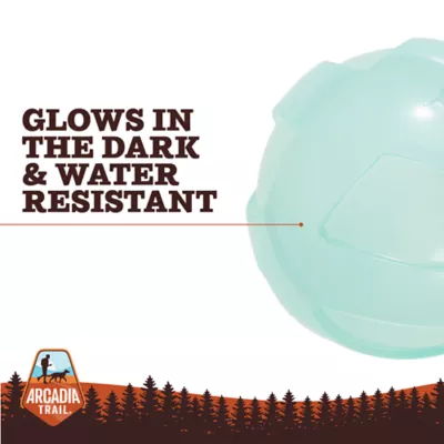 Arcadia Trail® Glow-in-the-Dark Dog Toy - Image 2