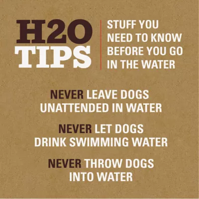 Arcadia Trail® High Visibility Life Jacket - Image 6