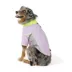 Arcadia Trail® Zip-Up Rashguard image thumbnail 2