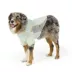 Arcadia Trail® Zip-Up Rashguard image thumbnail 1