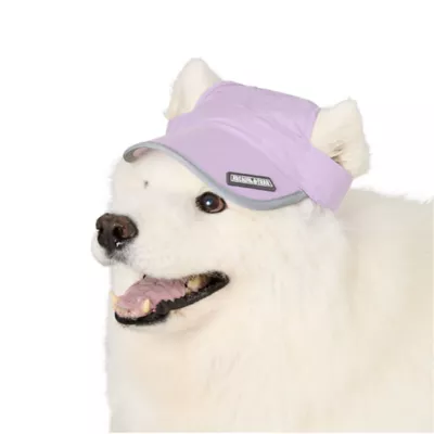 Arcadia Trail® Adjustable Visor - Image 1