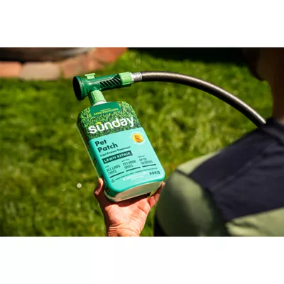 Sunday Pet Patch Ready-to-Spray Lawn Repair for Pet Spots -For All Grasses- 42.3 OZ- 2500 SQ FT - Image 4