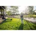 Sunday Pet Patch Ready-to-Spray Lawn Repair for Pet Spots -For All Grasses- 42.3 OZ- 2500 SQ FT image thumbnail 5