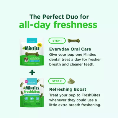 Product Minties Freshbites All Life Stages Dental Dog Treat - 5 oz