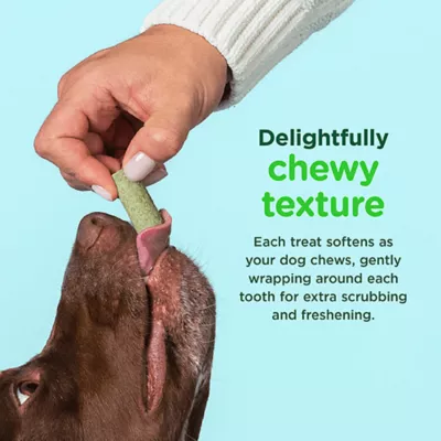 Product Minties Freshbites All Life Stages Dental Dog Treat - 5 oz