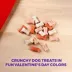 Milkbone Valentine All Life Stages Mini Biscuit Dog Treats - 25 oz image thumbnail 3