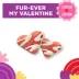 Milkbone Valentine All Life Stages Yogurt Dipped Dog Treat - 10 oz image thumbnail 4