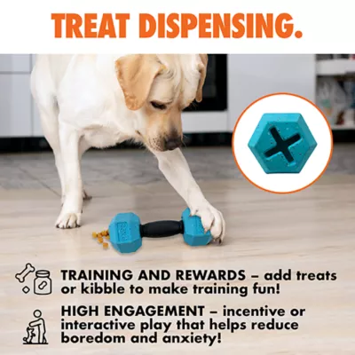 ARLEE Max Fusion with Nike Grind, Dumbbell Dog Toy - Image 4