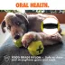 ARLEE Max Fusion with Nike Grind, Dumbbell Dog Toy image thumbnail 5