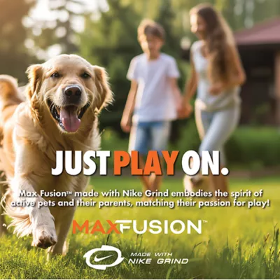 Product ARLEE Max Fusion with Nike Grind, Gyro Ball Dog Toy