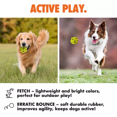 Product ARLEE Max Fusion with Nike Grind, Gyro Ball Dog Toy