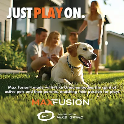 ARLEE Max Fusion with Nike Grind, Helix Ball Dog Toy - Image 2