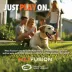 ARLEE Max Fusion with Nike Grind, Helix Ball Dog Toy image thumbnail 2