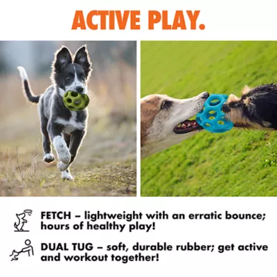 ARLEE Max Fusion with Nike Grind, Helix Ball Dog Toy - Image 4