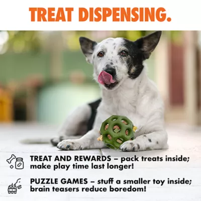 ARLEE Max Fusion with Nike Grind, Helix Ball Dog Toy - Image 5