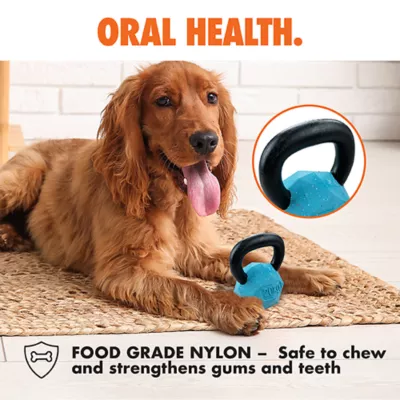 ARLEE Max Fusion with Nike Grind, Kettle Bell Dog Toy - Image 5